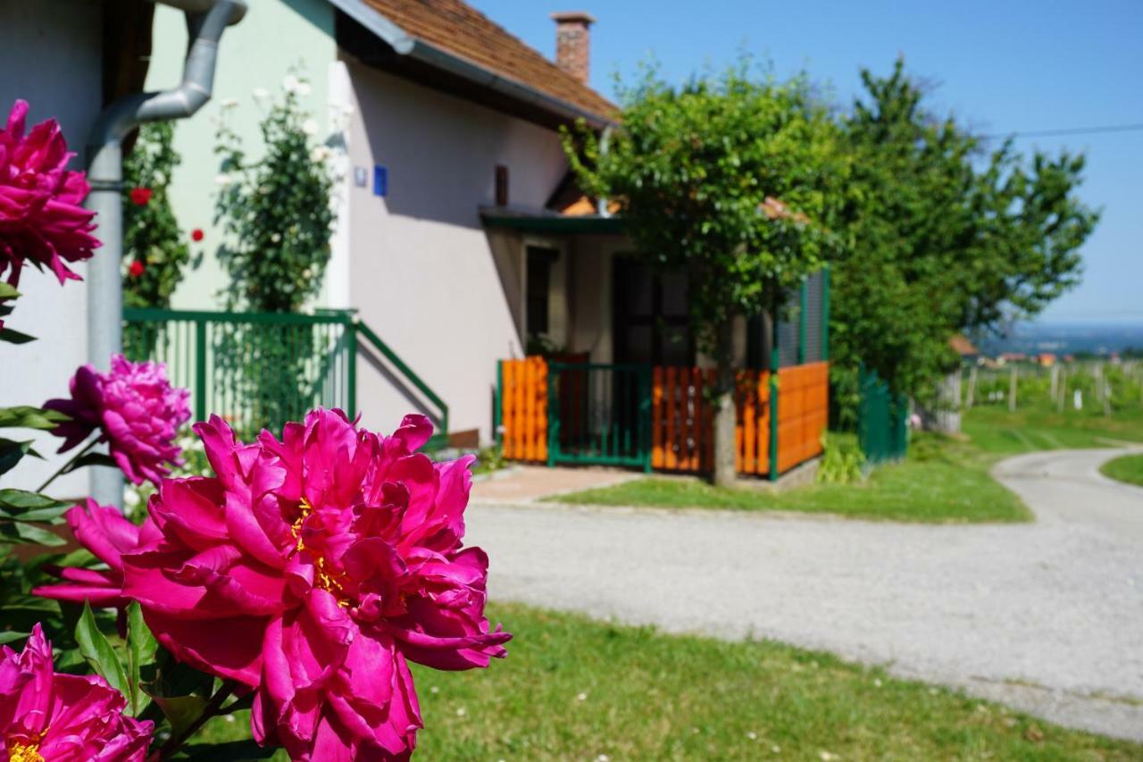 Holiday Home Mađerka Strigova Dış mekan fotoğraf