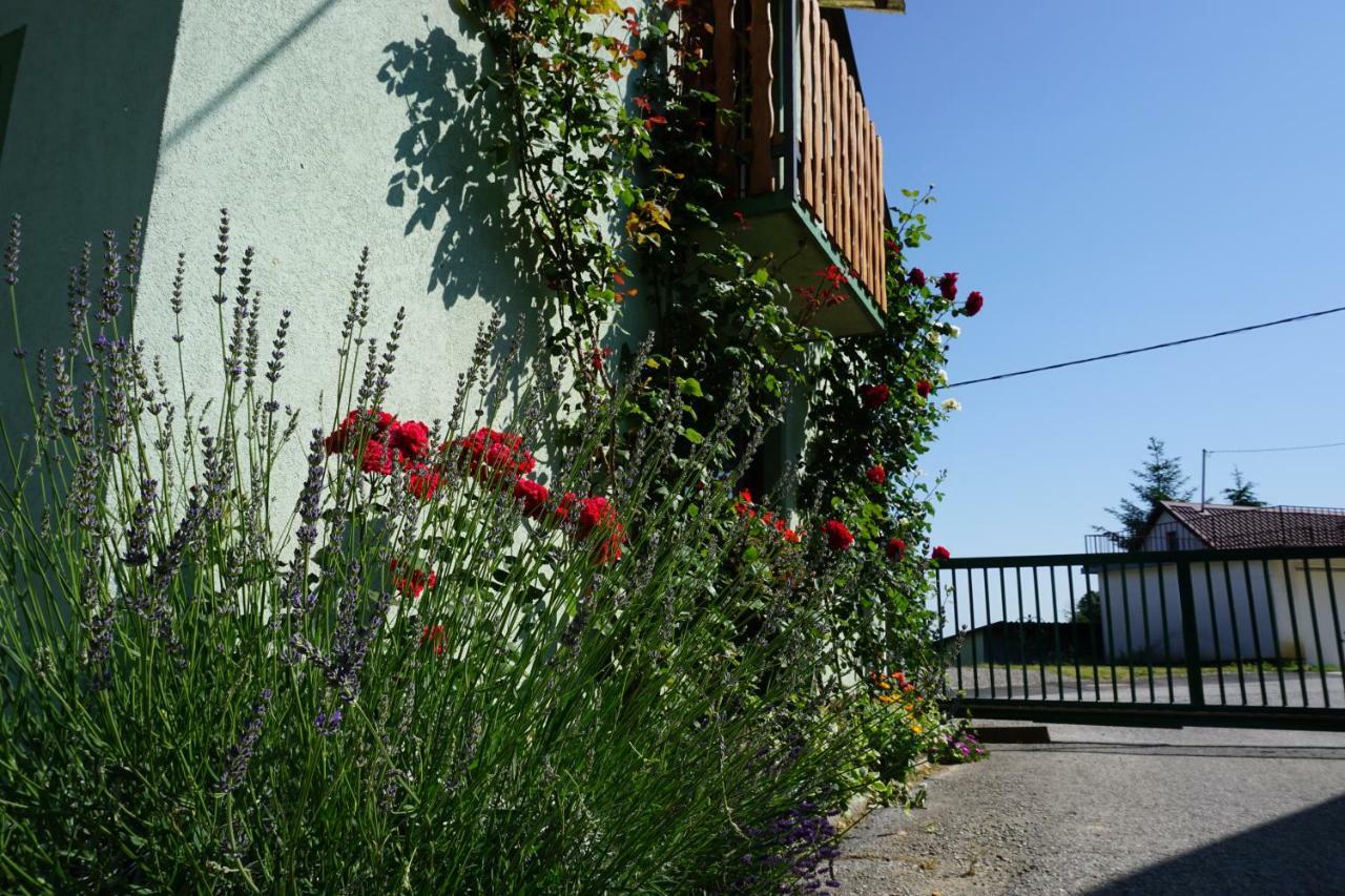 Holiday Home Mađerka Strigova Dış mekan fotoğraf